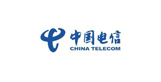 武汉时代经典党建标识合作伙伴-中国电信合作客户-武汉时代经典